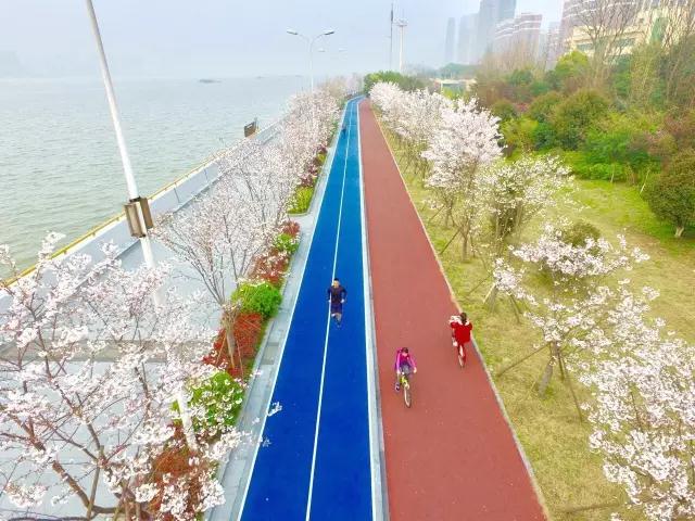 双组份彩色路面涂料,让道路成为“彩虹车道”